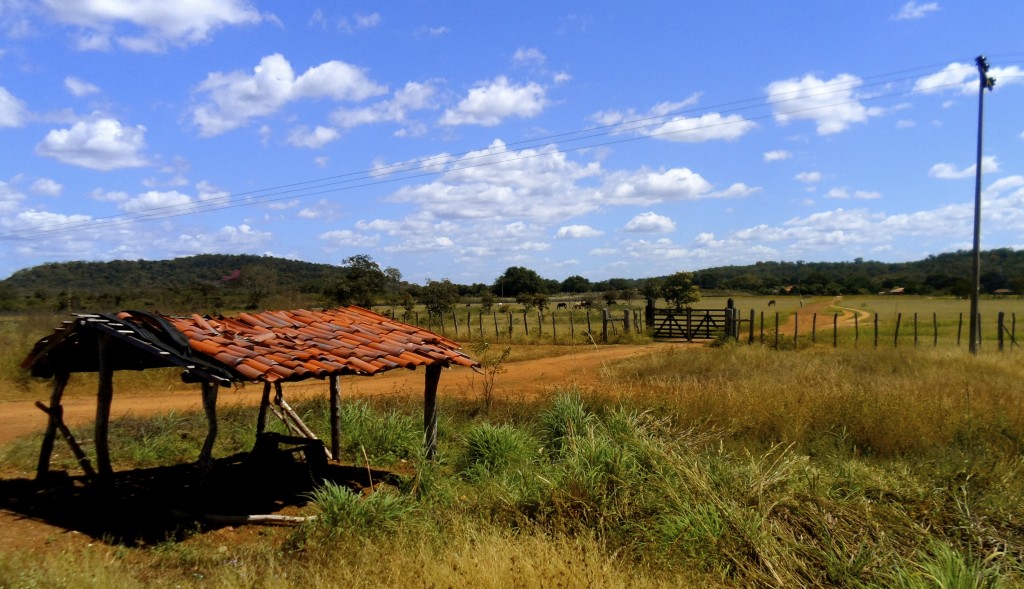 Farm along the road in Sertao.