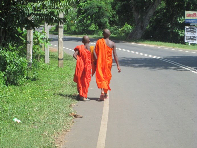 Going down the road in Sri Lanka.