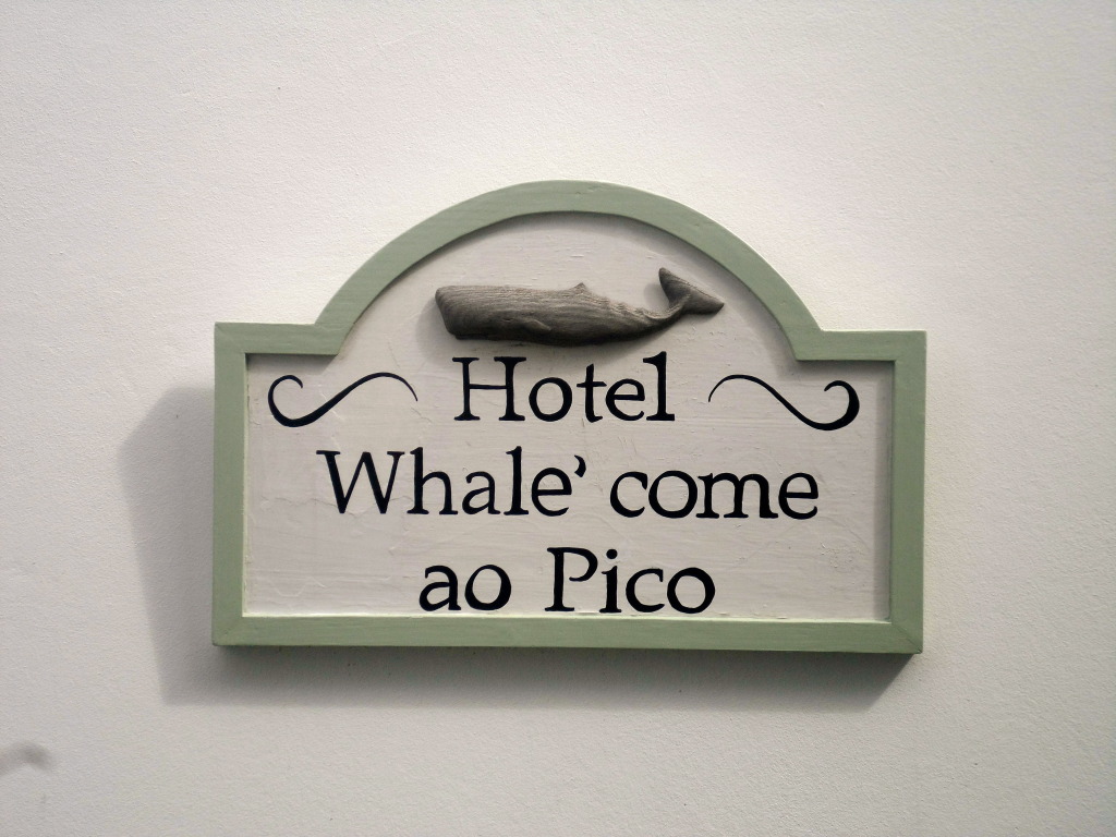 Whalecome to the Azores.