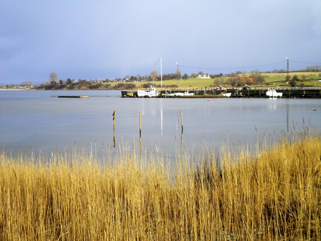 The little harbour in Bøjden.