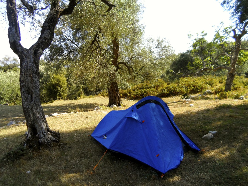 Camping under an olive tree at Shkolla Hostel in Vuno.