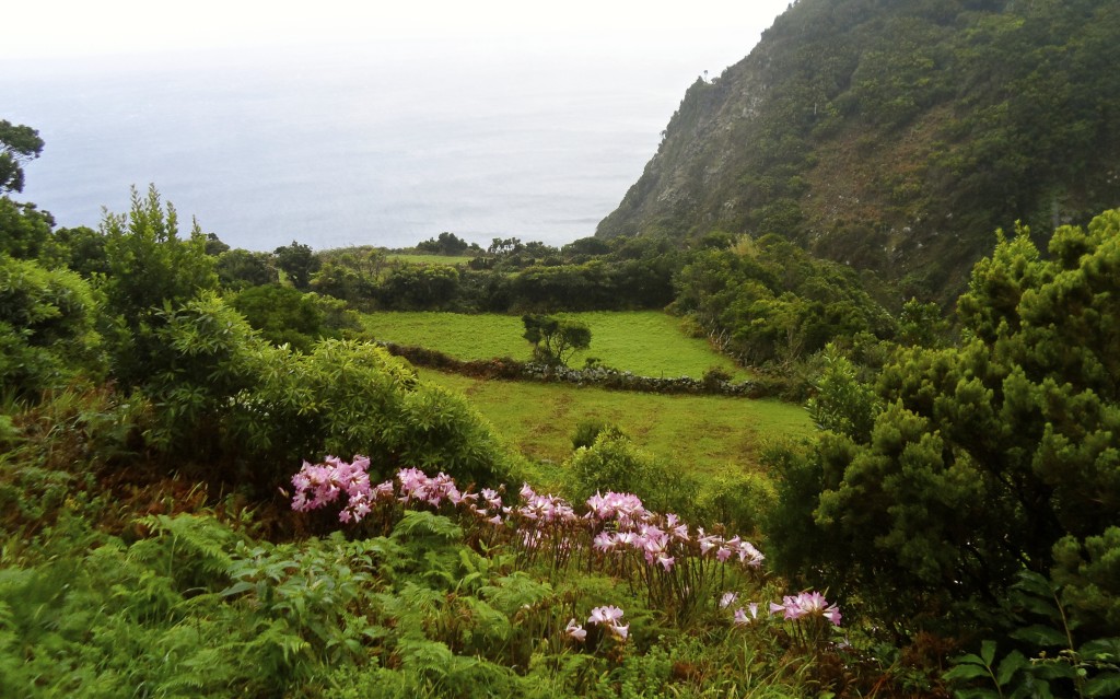 Sao Jorge on the Azores is unique.