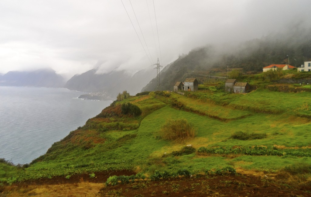 Farmland on the north coast of Madeira.