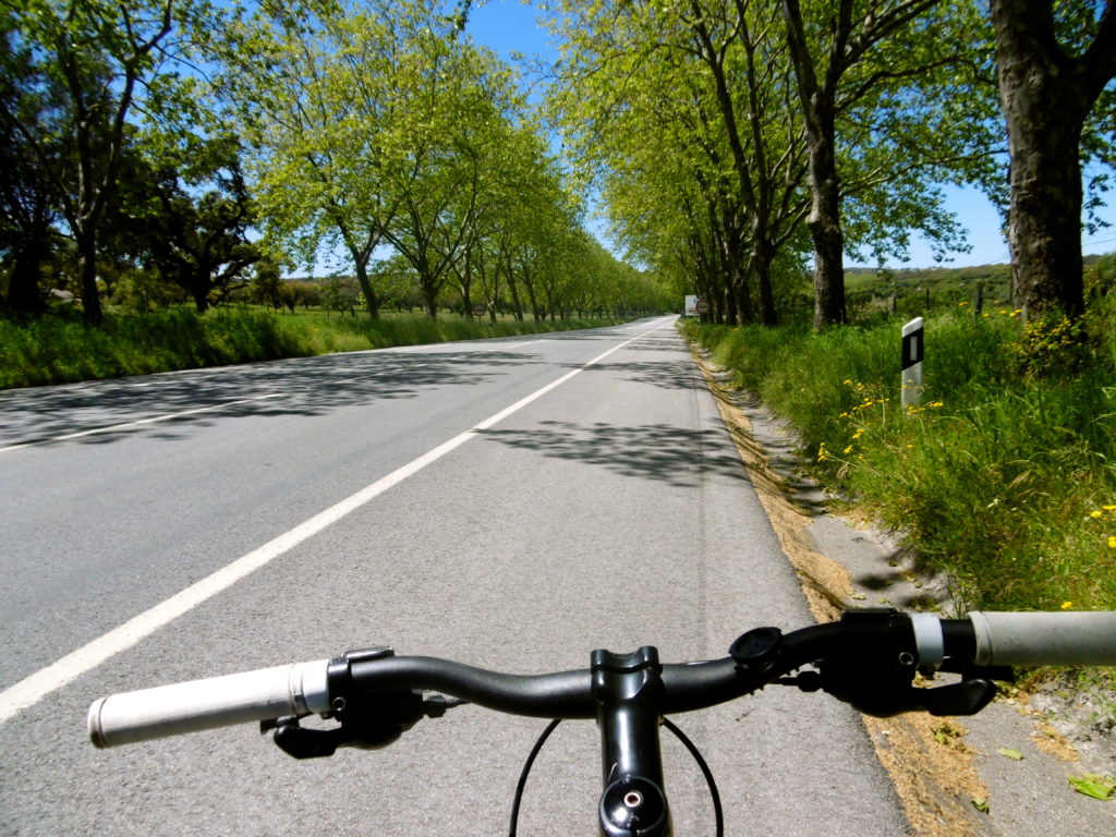 The roads in Portugal are mostly good for cycling.