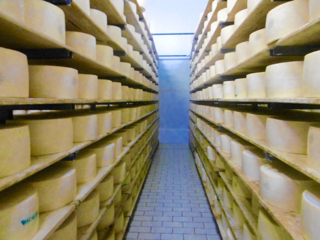 Cheese factory on Sao Jorge Island.