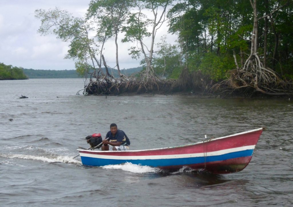 Sailing around Mangroves near Valenca da Bahia.