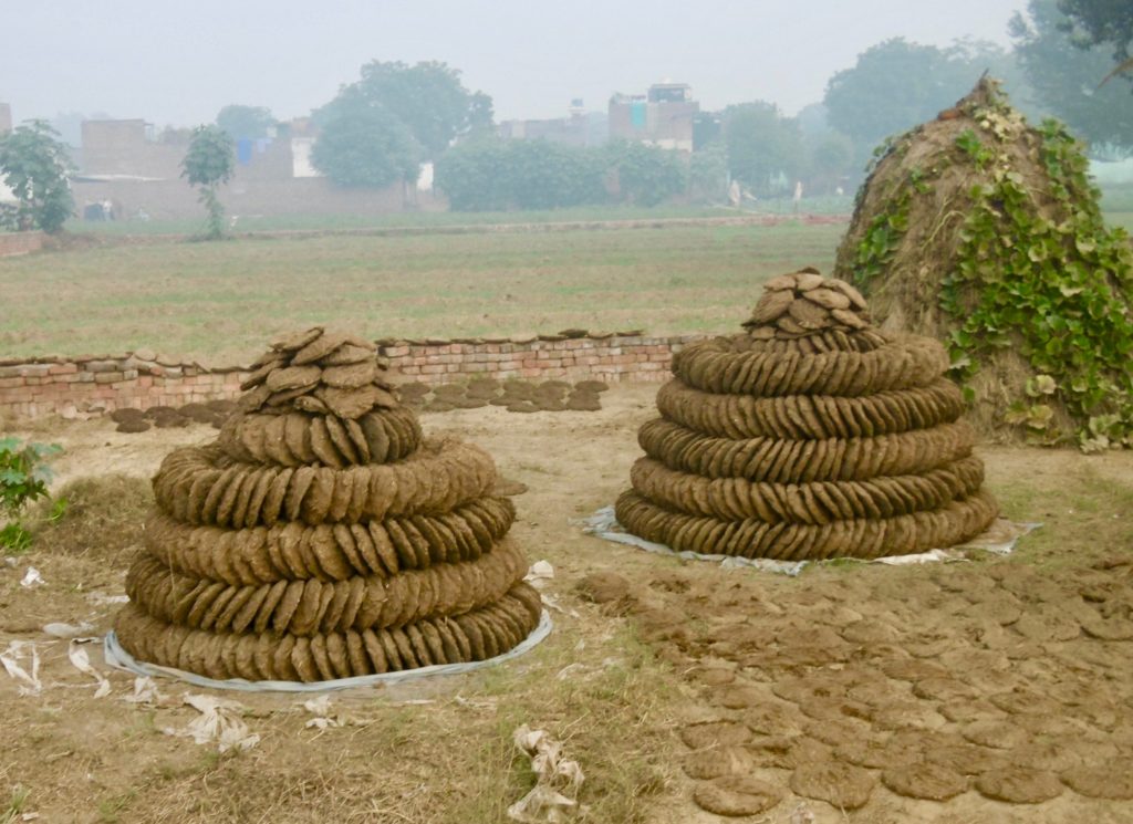 In rural India, many people make a living from collecting cow dung and selling it.