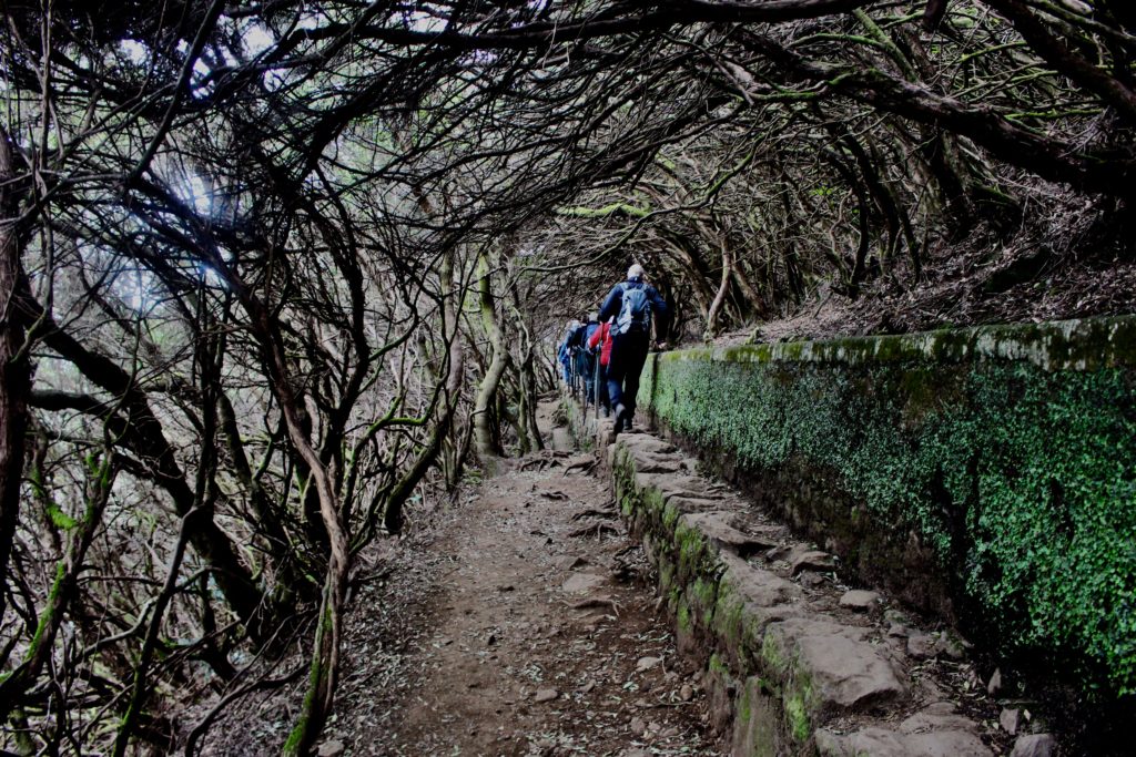 Madeira hiking trail.
