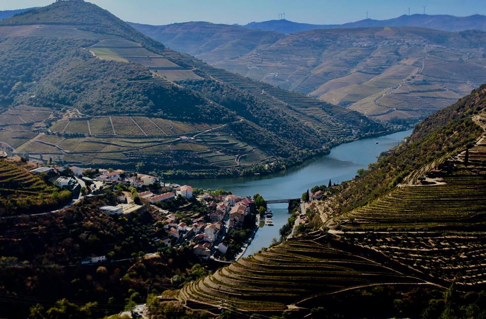 The Douro Valley is a nice place to work.