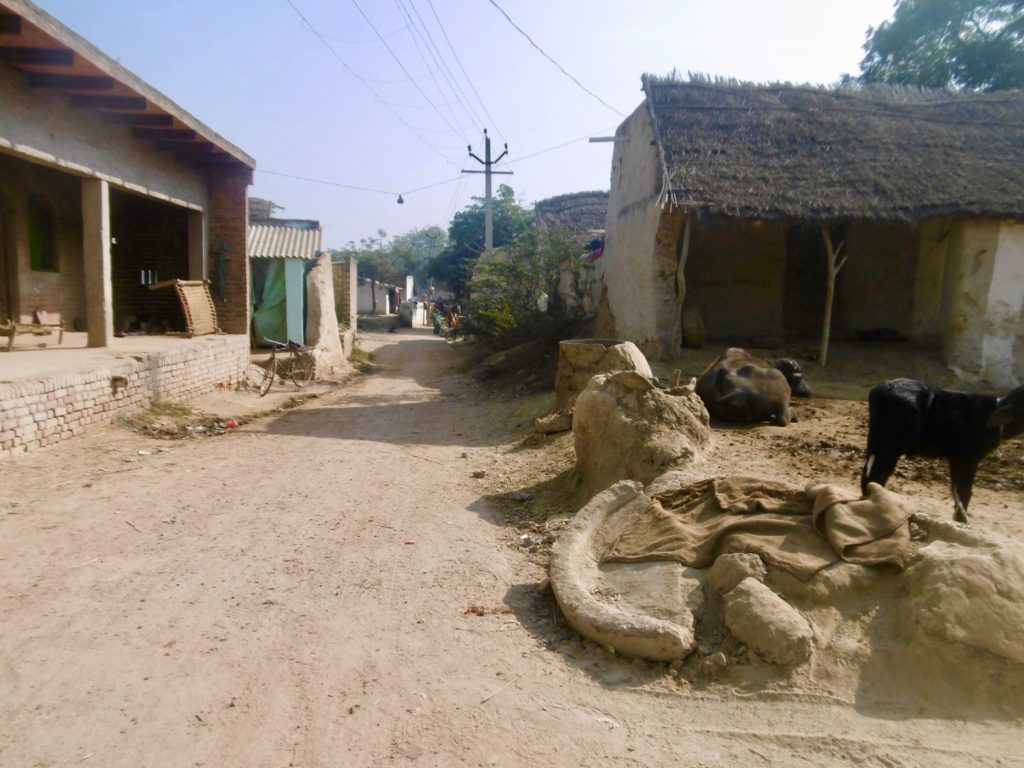 Cycling through a village, on the way from Agra to Etawah.
