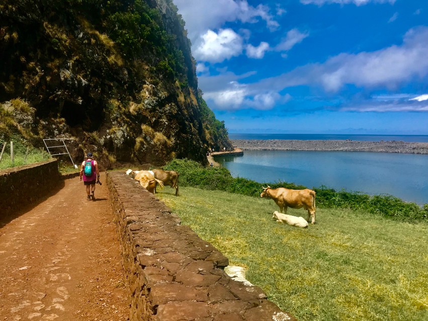 Azores hiking
