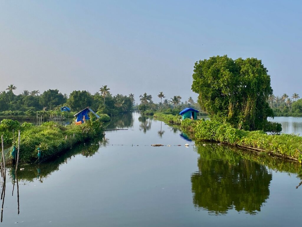 Kerala backwaters. 